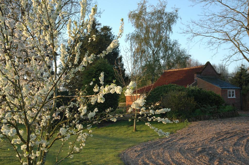 Field Cottage Bed And Continental Breakfast East Harling Quarto foto